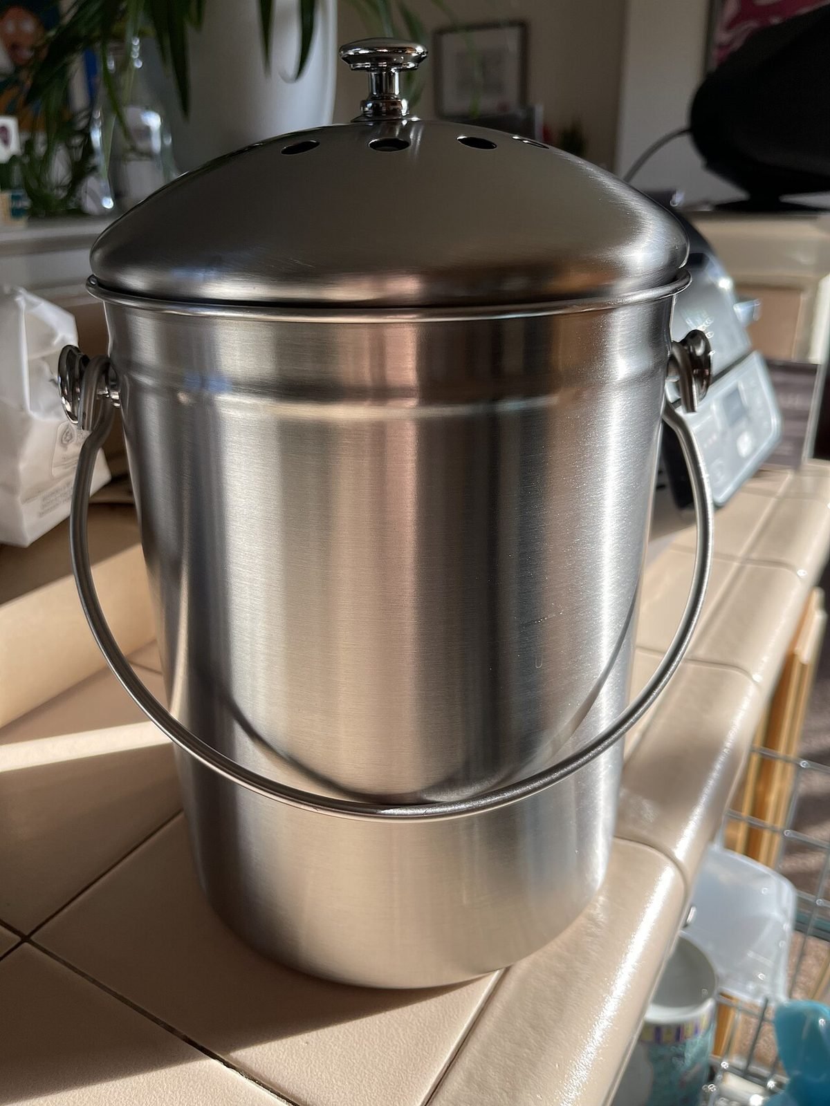 Stainless steel kitchen compost caddy